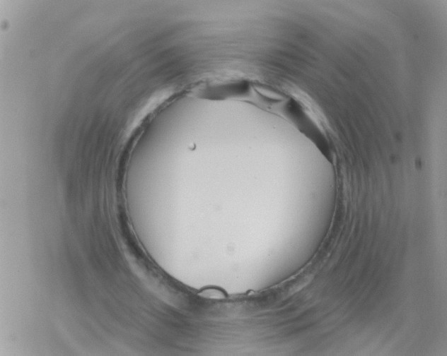 X0000078310482200611251537