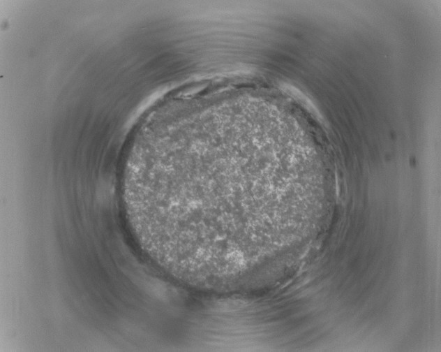 X0000078310483200611251537