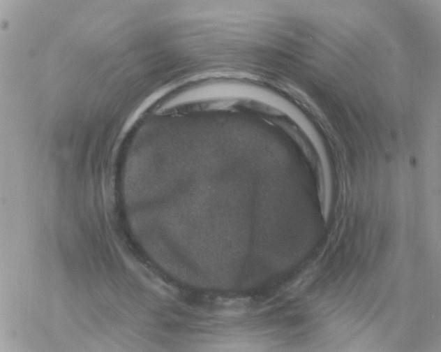 X0000078310484200611251537