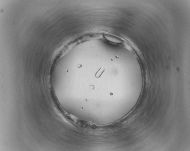 X0000078310485200611251537