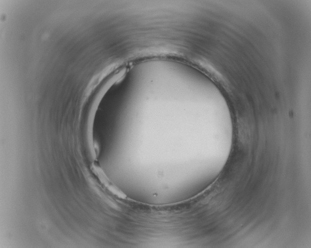 X0000078310486200611251537