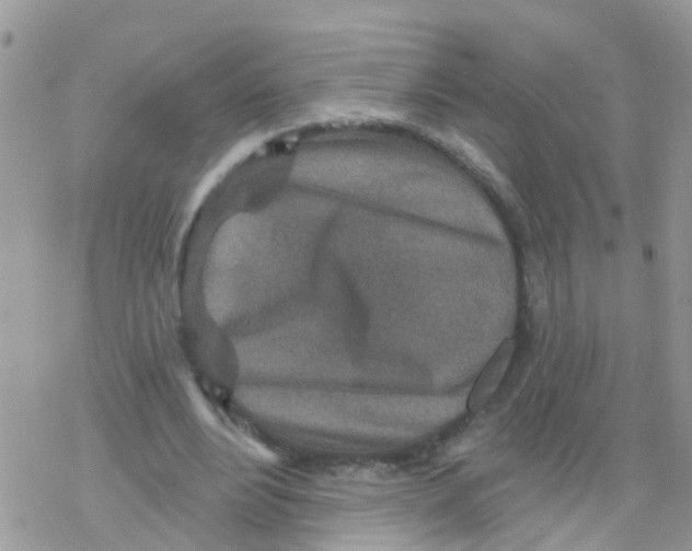 X0000078310488200611251537