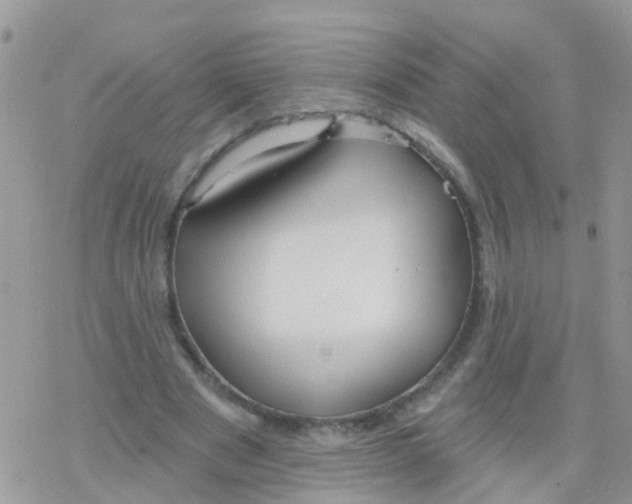 X0000078310489200611251537