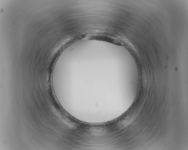 X0000078310490200611251537