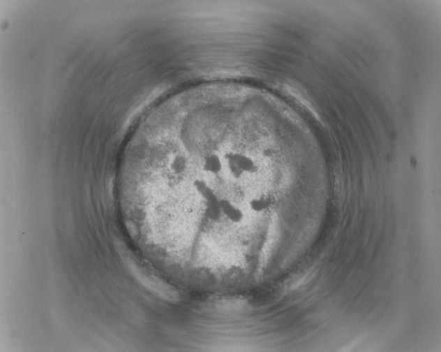 X0000078310491200611251537