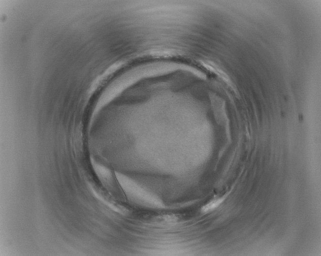 X0000078310492200611251537