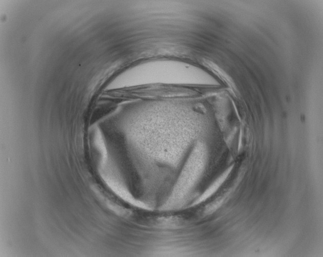 X0000078310493200611251537