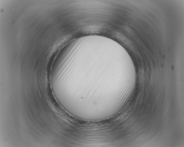 X0000078310494200611251537