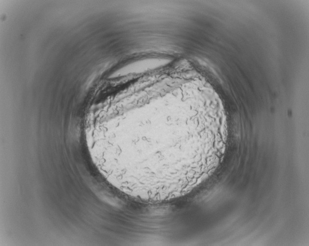 X0000078310495200611251537