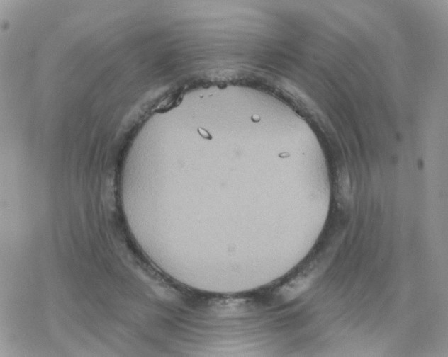 X0000078310497200611251537