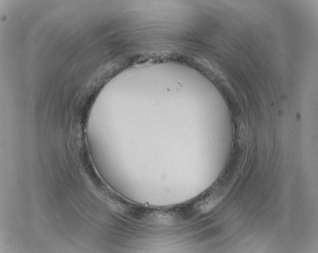 X0000078310498200611251537