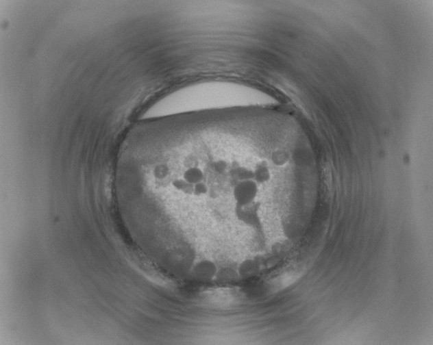 X0000078310499200611251537