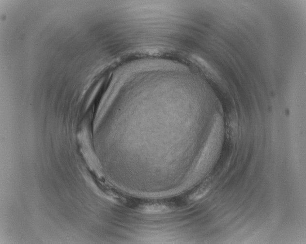 X0000078310500200611251537