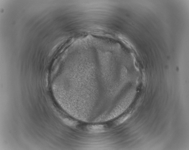 X0000078310501200611251537