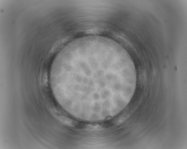 X0000078310502200611251537