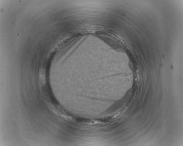 X0000078310504200611251537