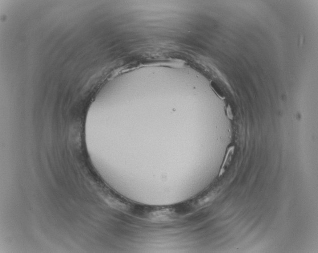 X0000078310505200611251537