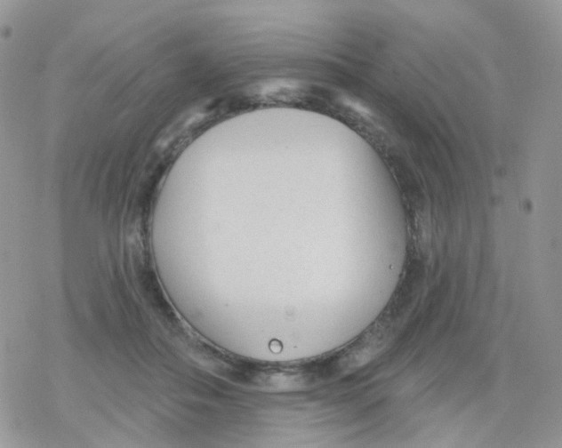 X0000078310506200611251537