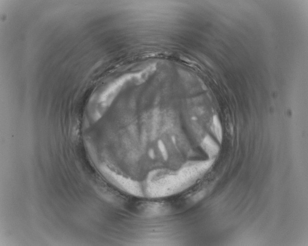 X0000078310507200611251537