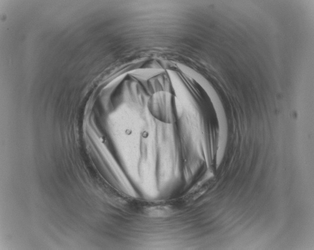 X0000078310508200611251537