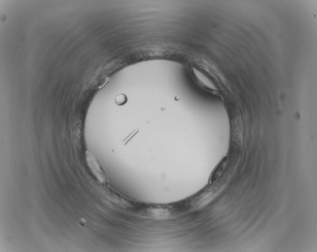 X0000078310509200611251537