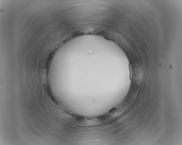 X0000078310510200611251537