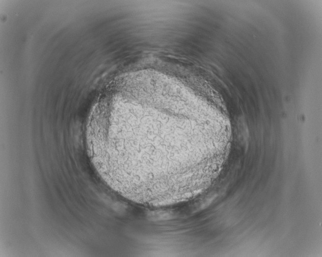 X0000078310511200611251537