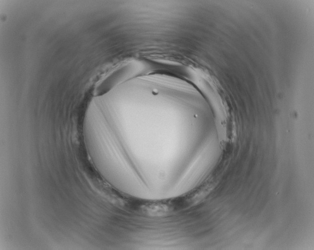 X0000078310512200611251537