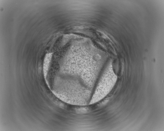 X0000078310513200611251537