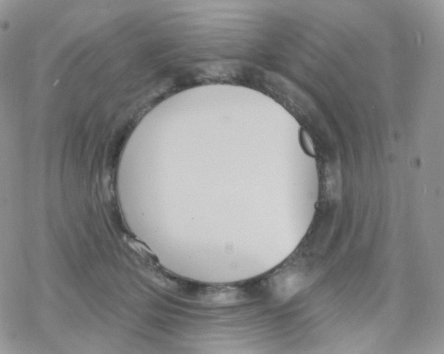 X0000078310514200611251537