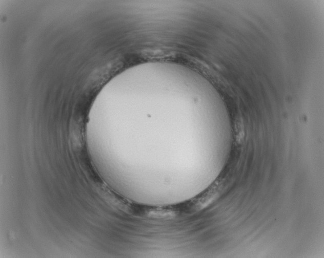 X0000078310515200611251537