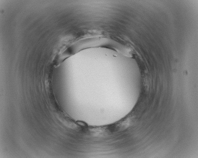 X0000078310516200611251537