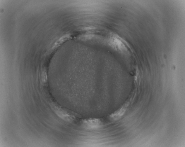 X0000078310517200611251536