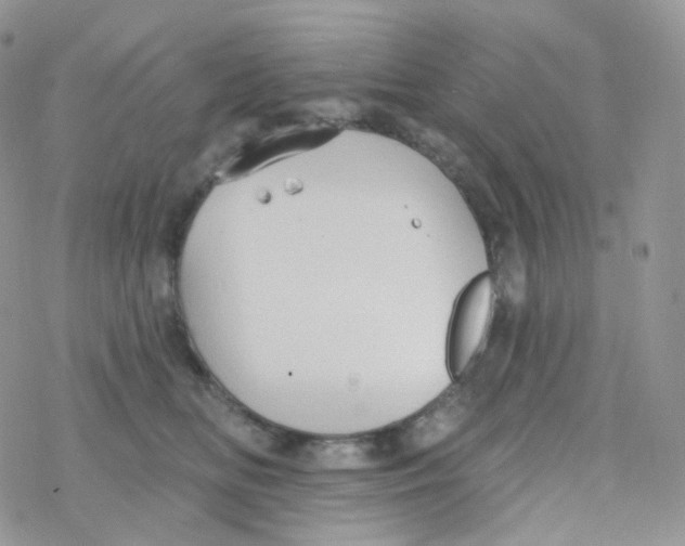 X0000078310518200611251536