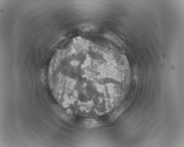 X0000078310519200611251536