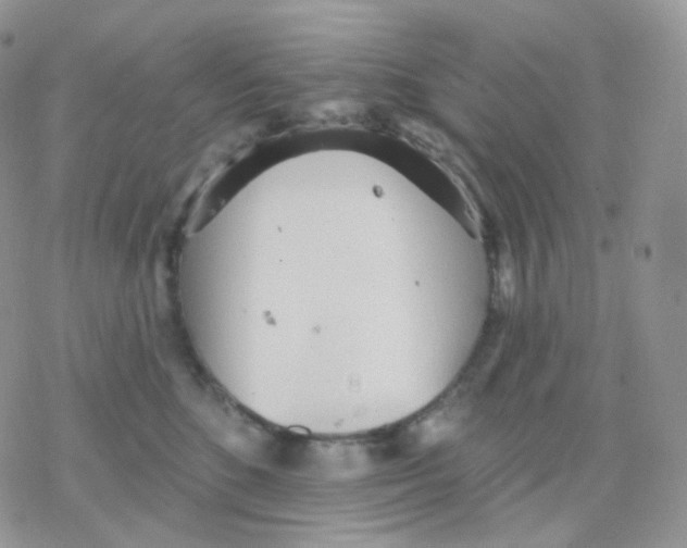 X0000078310520200611251536