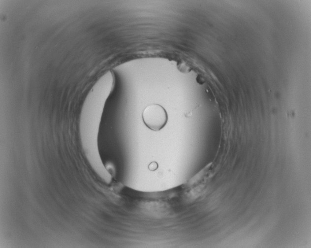 X0000078310521200611251536