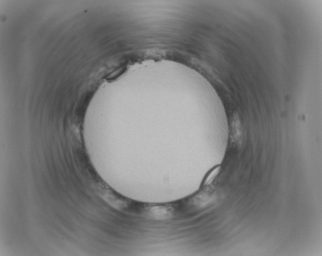 X0000078310522200611251536