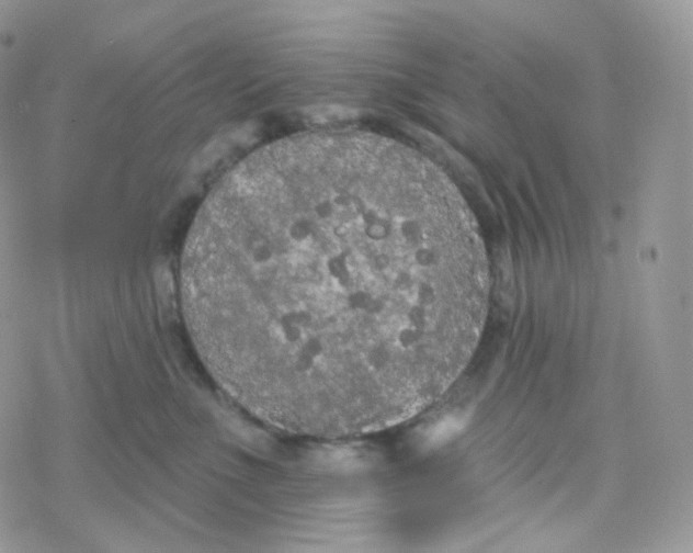 X0000078310523200611251536