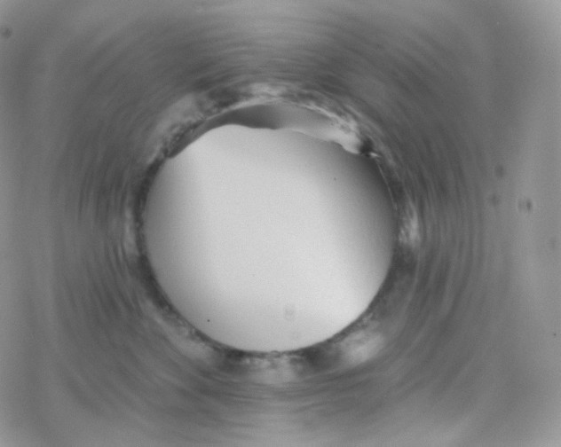 X0000078310524200611251536