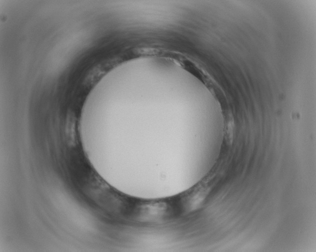 X0000078310525200611251536