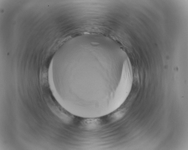 X0000078310526200611251536