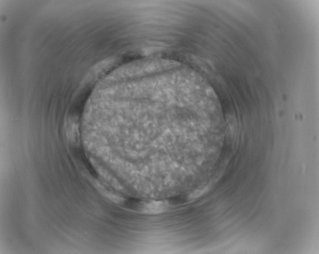 X0000078310527200611251536