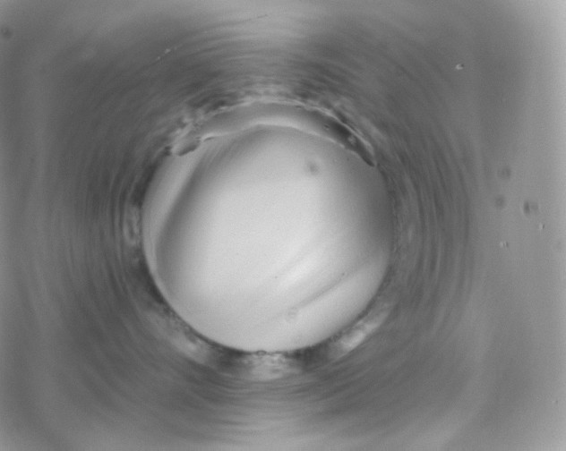 X0000078310528200611251536