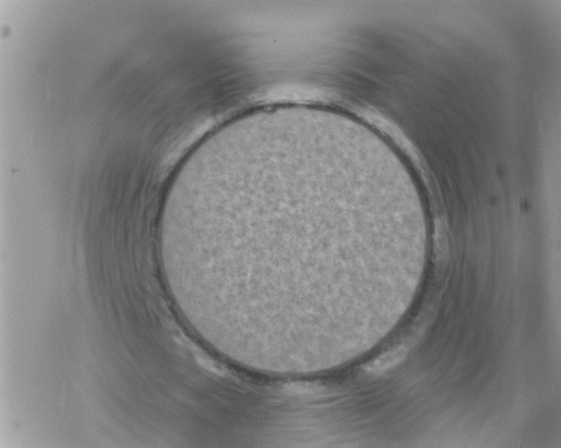 X0000078310529200611251536