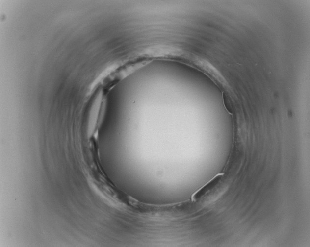 X0000078310530200611251536