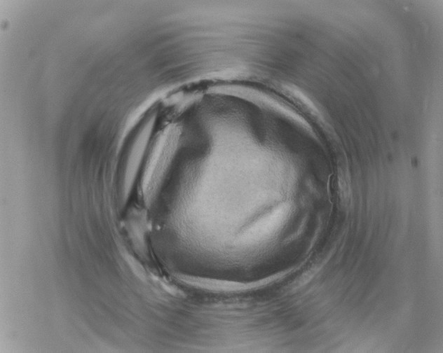 X0000078310532200611251536