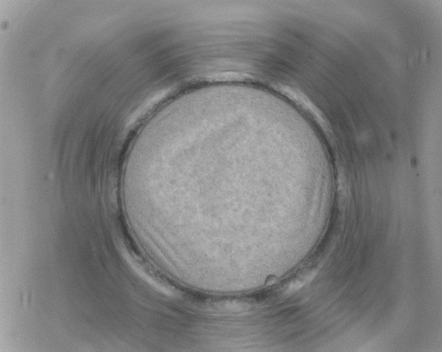 X0000078310533200611251536