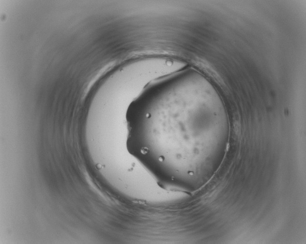 X0000078310534200611251536