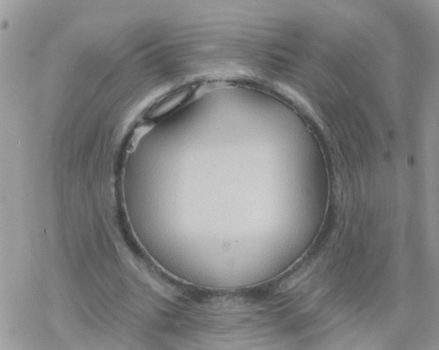 X0000078310535200611251536